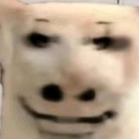 这年头还有谁不发疯