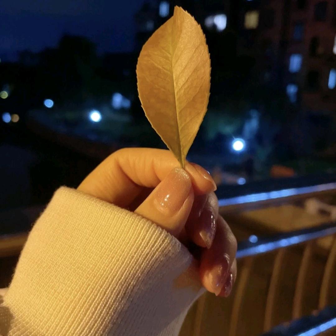 💞小吴吖