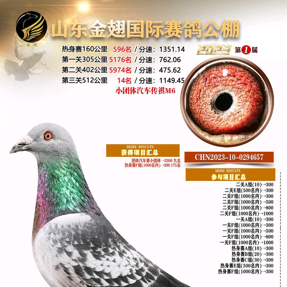 江苏传奇鸽业-仲建飞