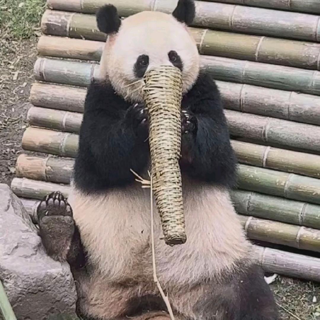 南关区纳宝传媒工作室