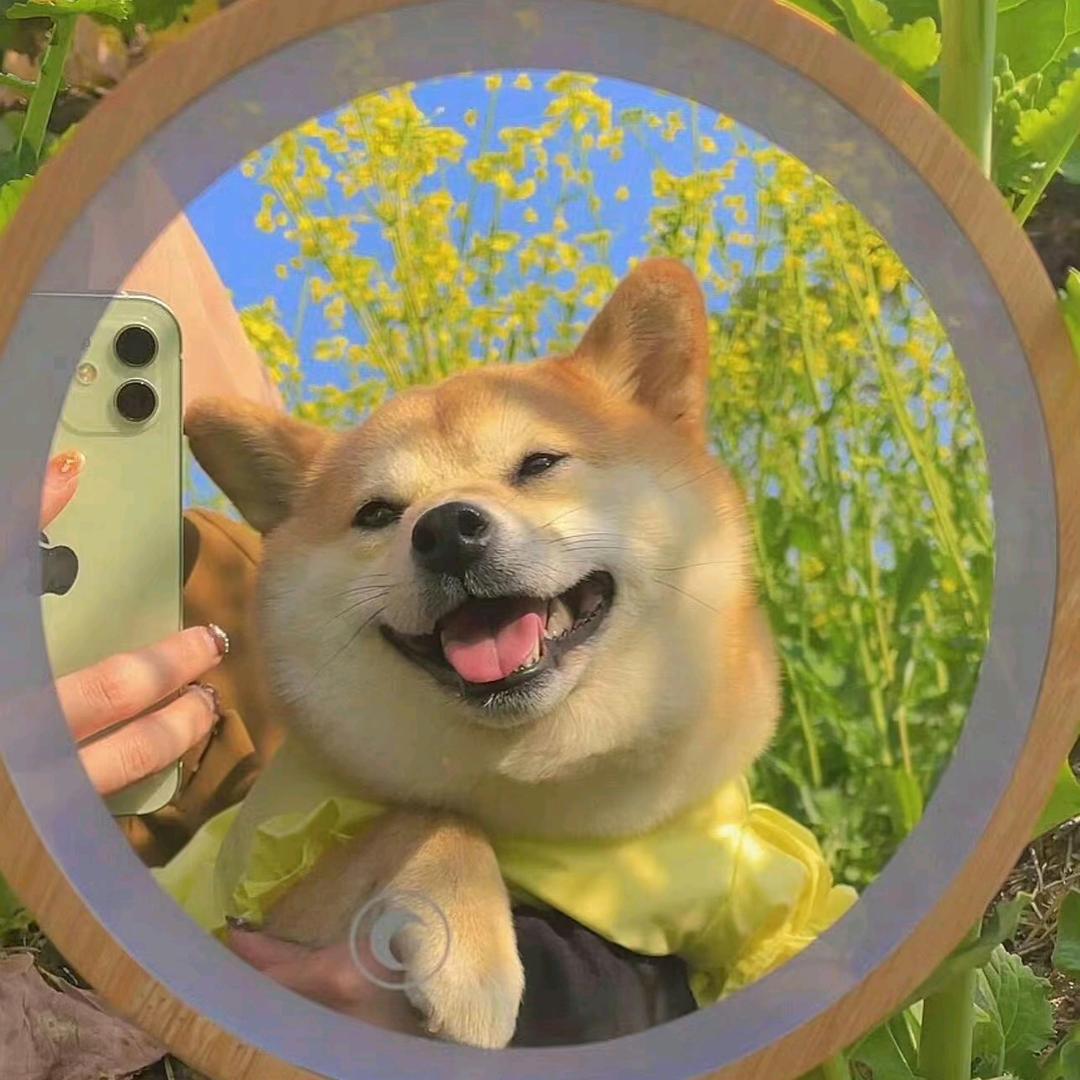 考公-备考干货社