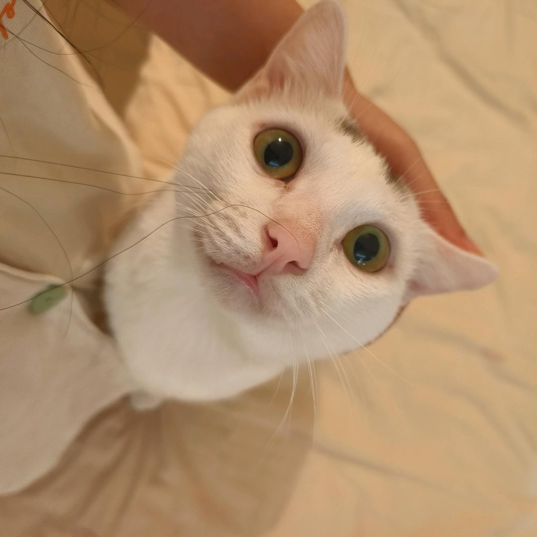 小小嗨下士