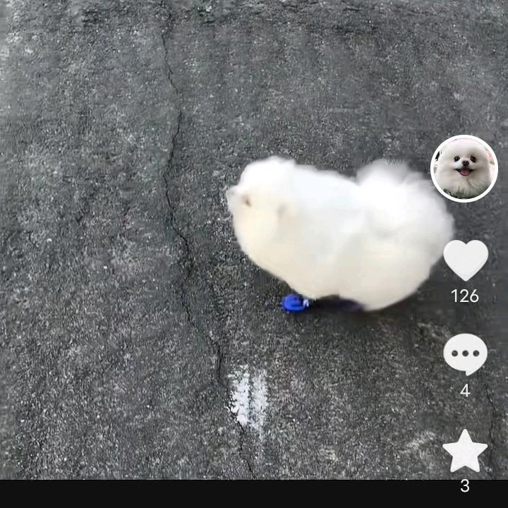 十八载豆花打工人