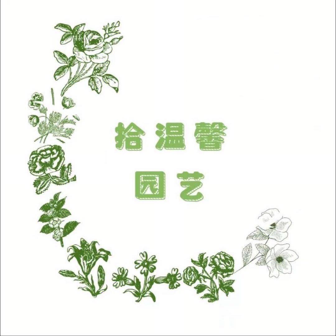 拾温馨园艺
