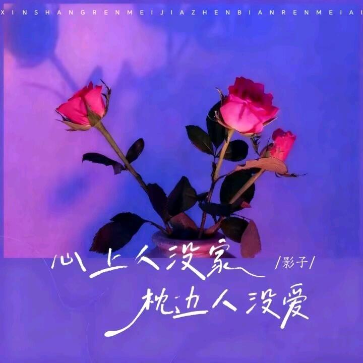 ☄所爱🕸隔山海☄