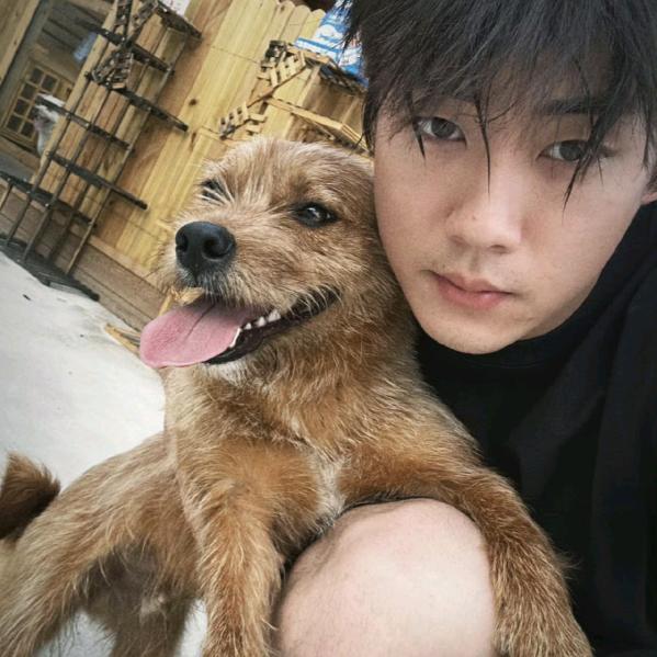 🦊