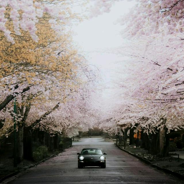 紫气东来.