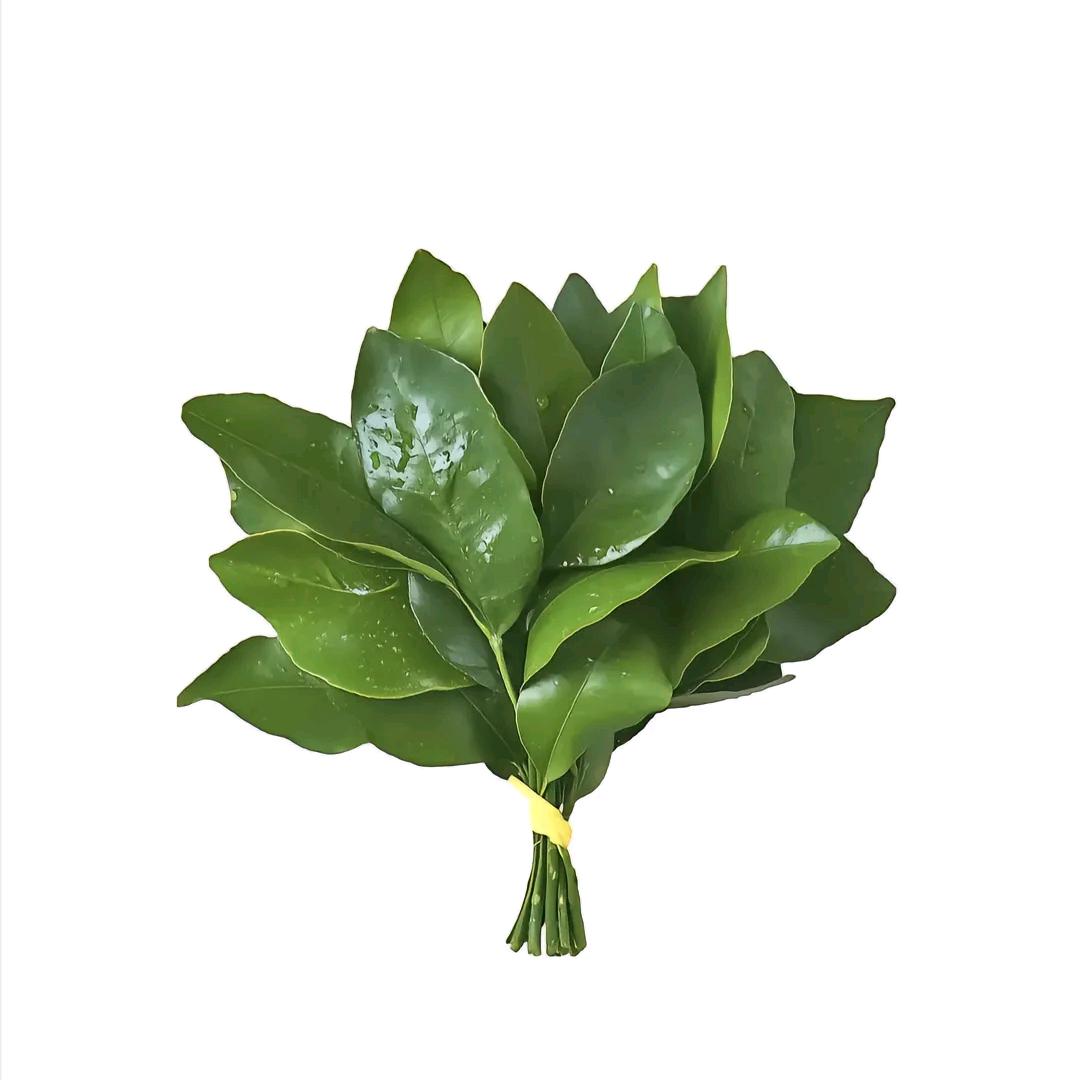 核桃花生任