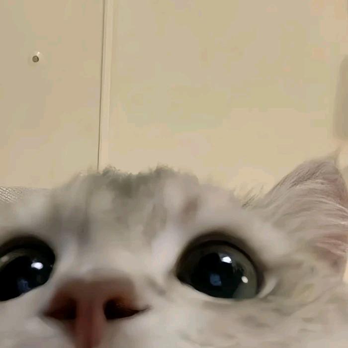 沉溺