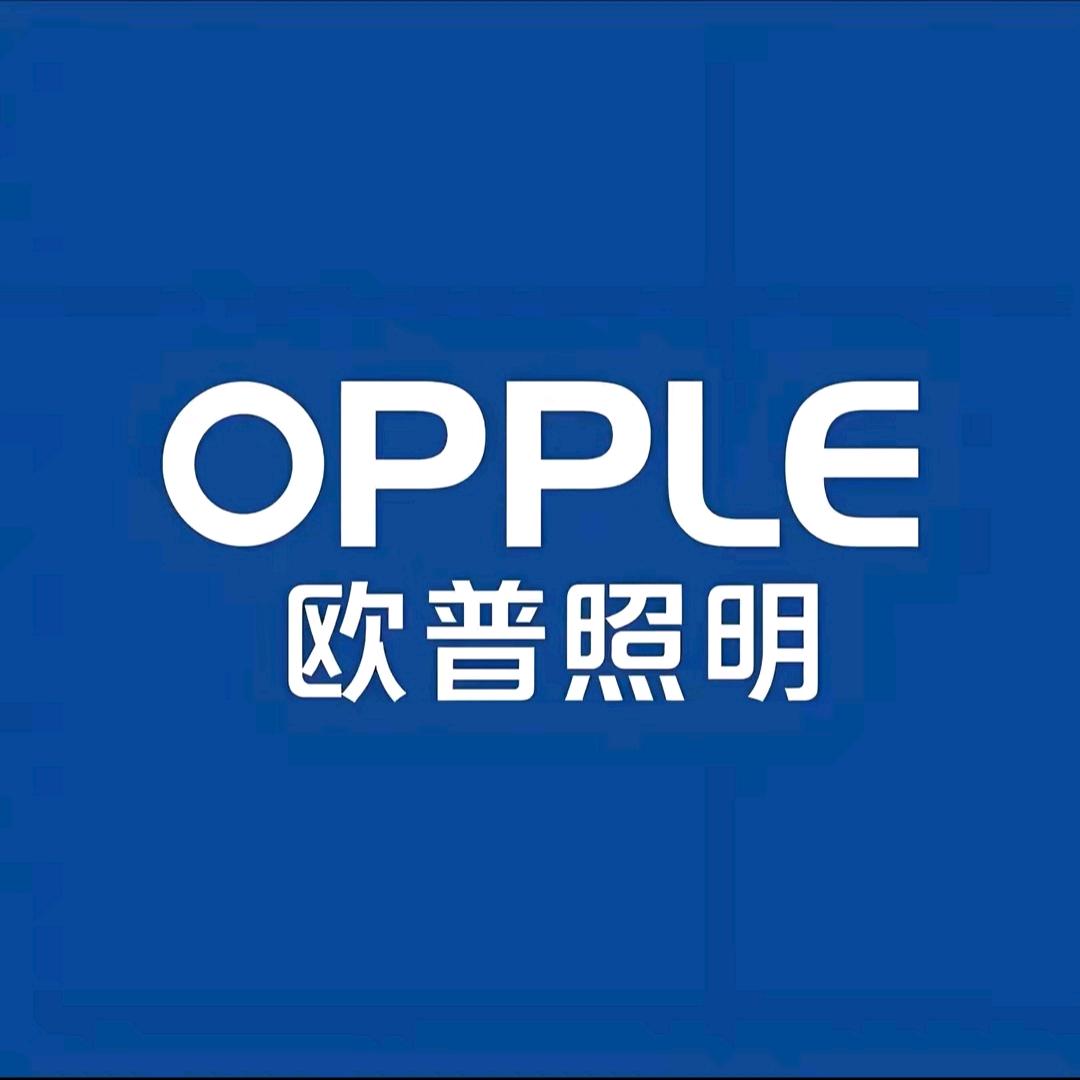 欧普照明江陵县恒立装饰