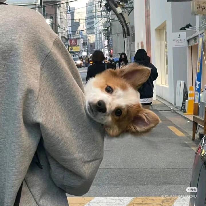 略略...