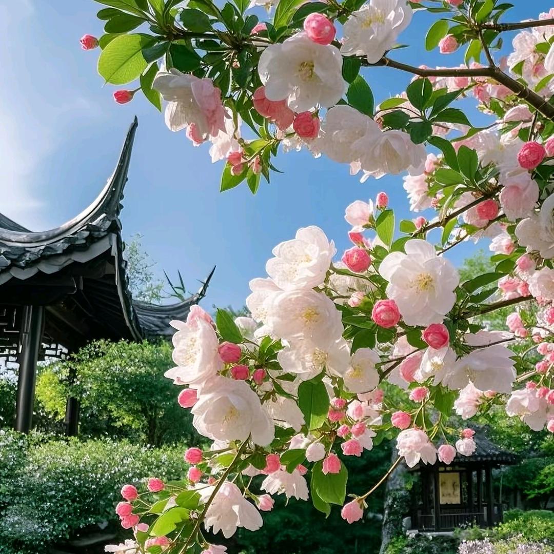 大泽（蝙蝠侠皮肤）