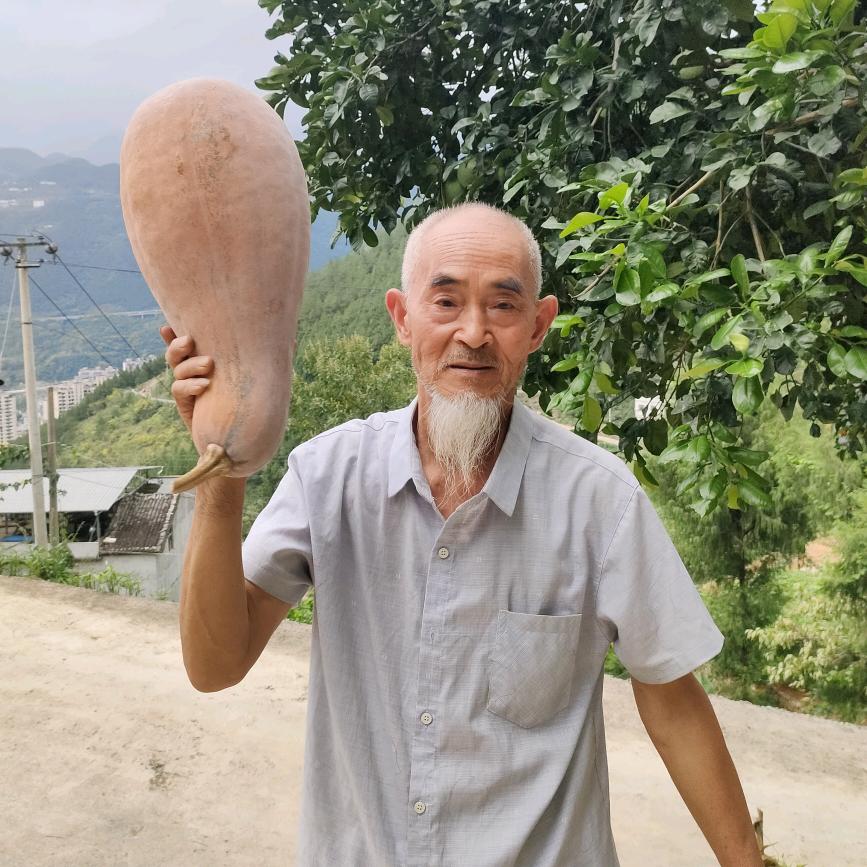 农村幸福人