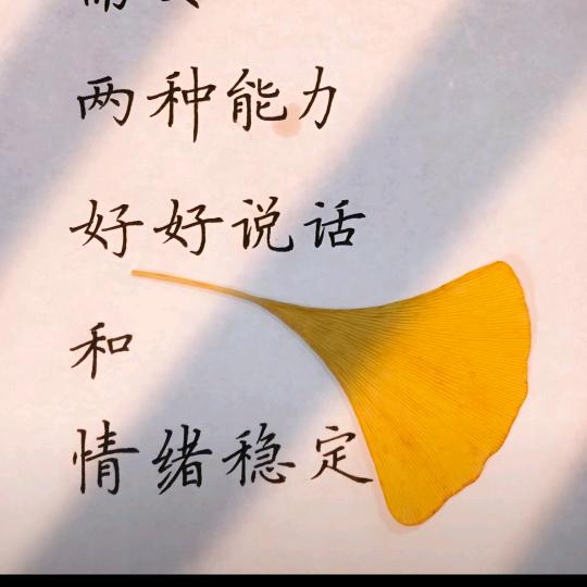 过好每一天