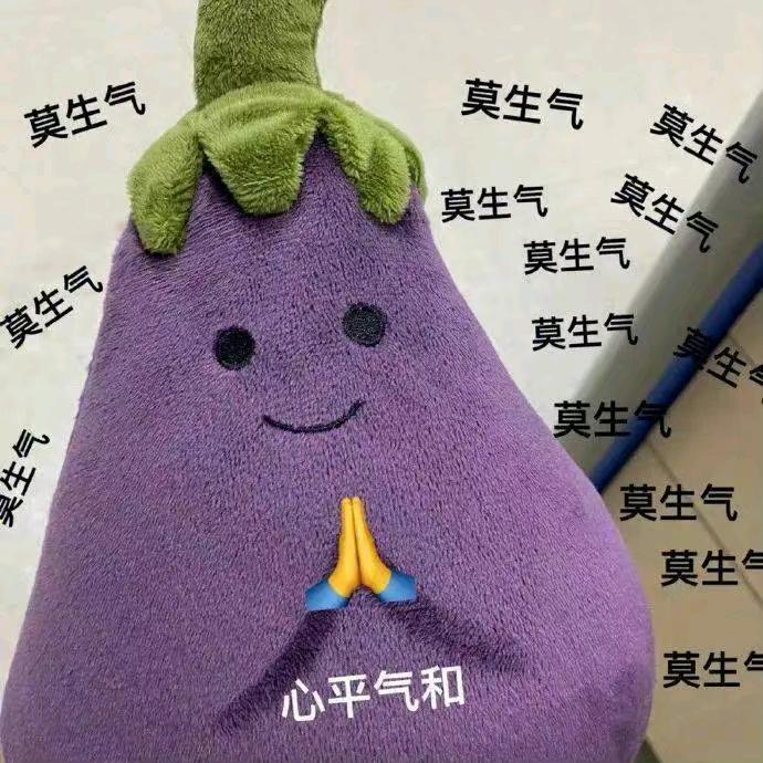做条迷人的狗🐶