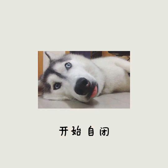 故人旧梦