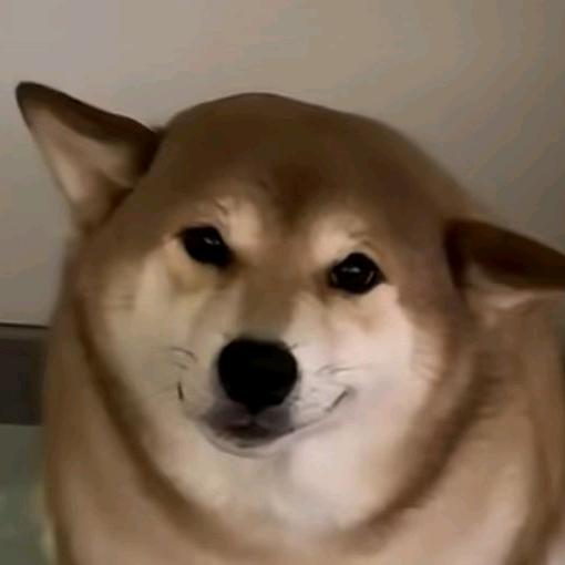 坏蛋
