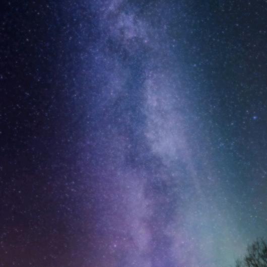 🌈游子x🌈
