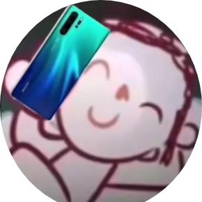 买不起的石榴🍊