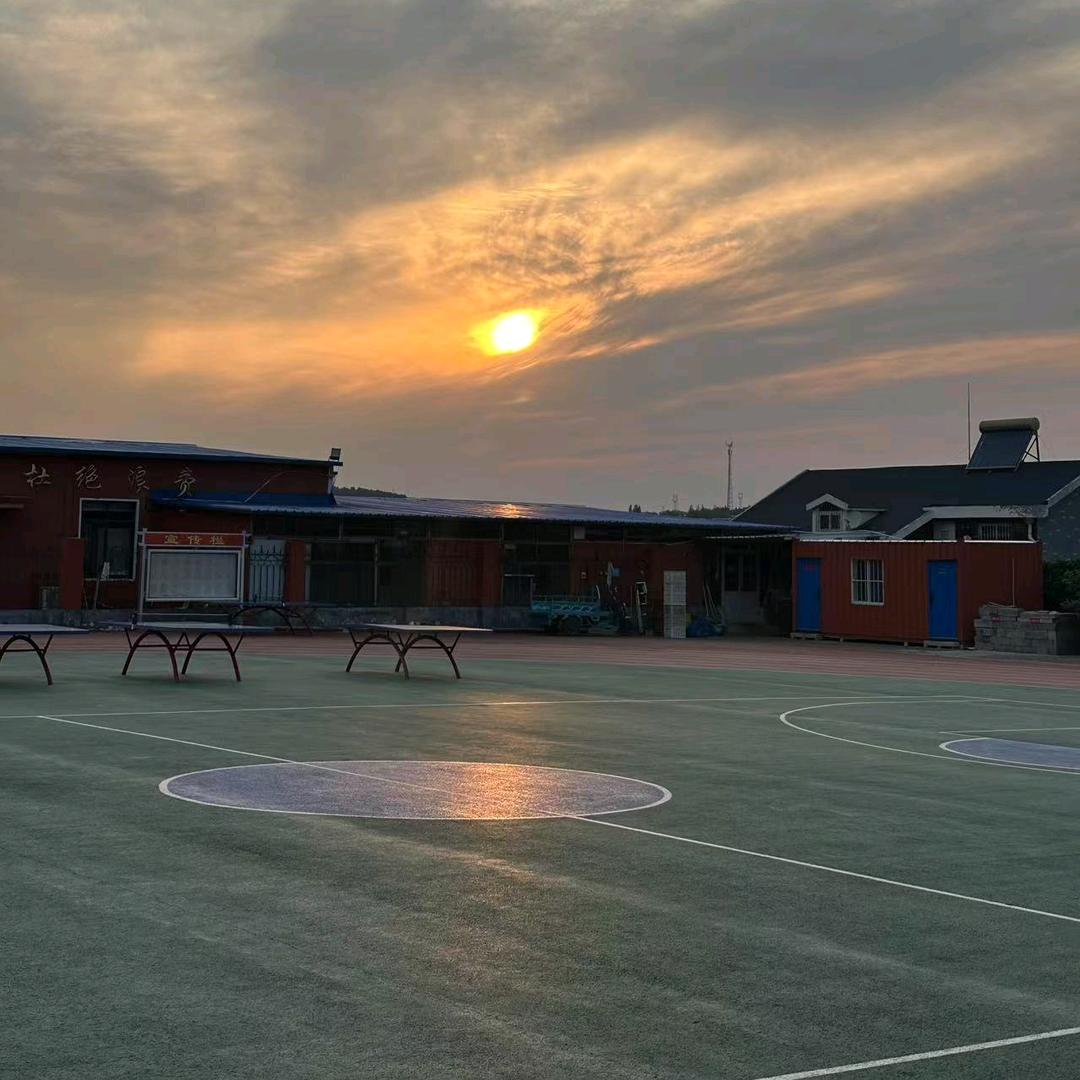 山东新特赵老师