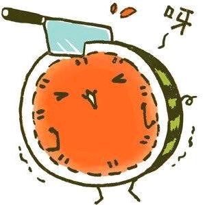 西瓜🍉爱追剧