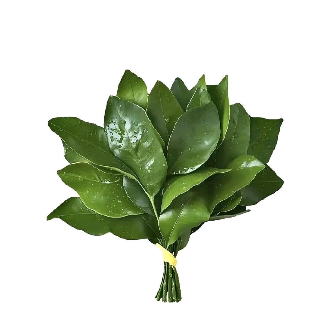 贵思专升本上上老师