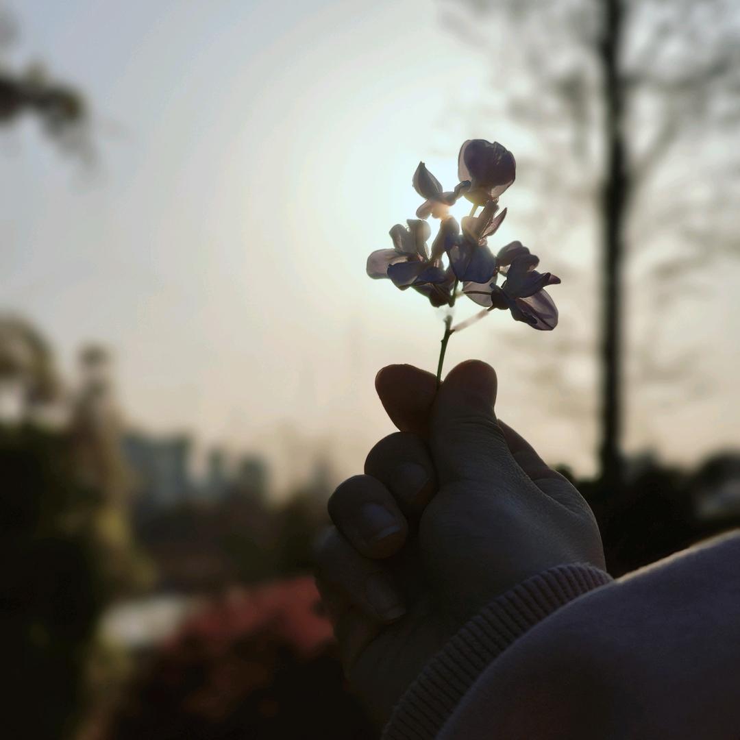 ℒøṽℯ¹³¹⁴费心ꦿ杨意꧔ꦿᩚ