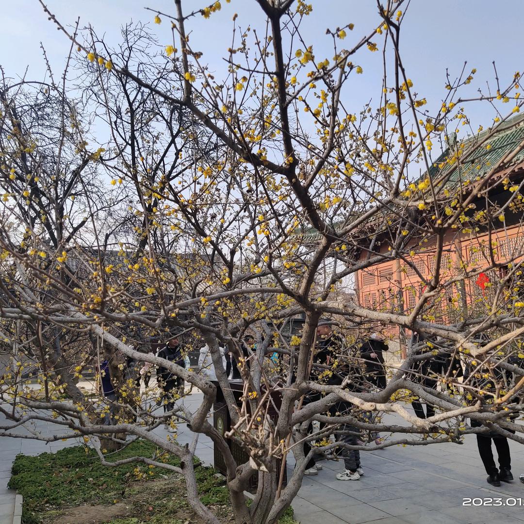 小七胡辣汤《收学员》