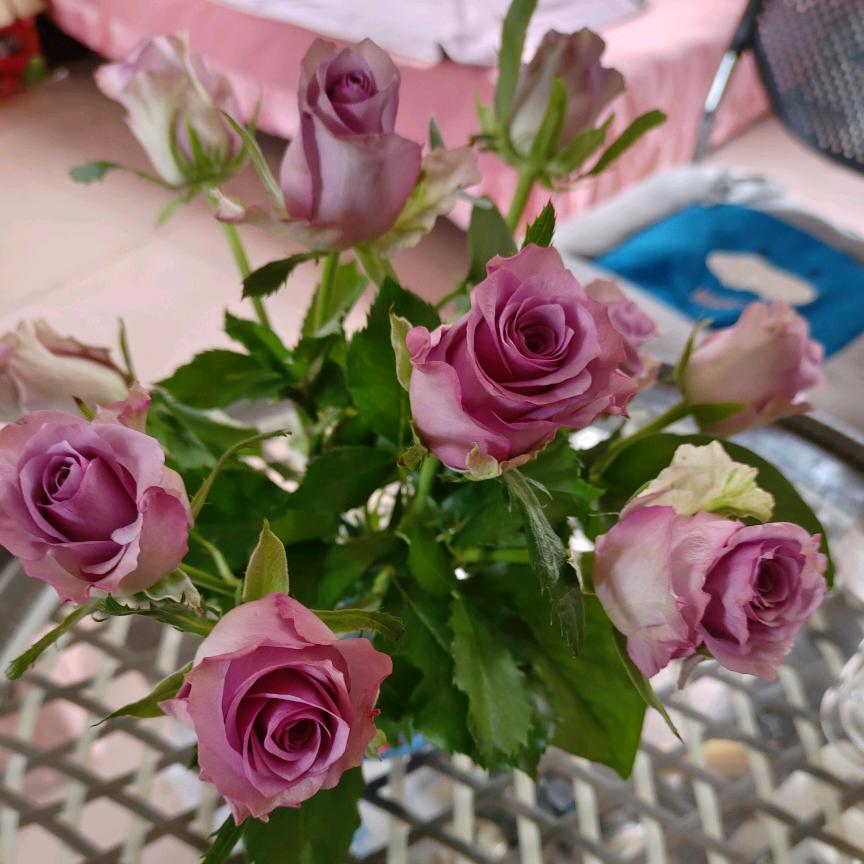 笑看人生_236346867