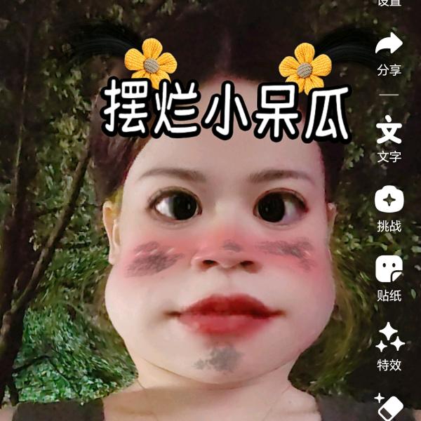 摆烂的小呆瓜