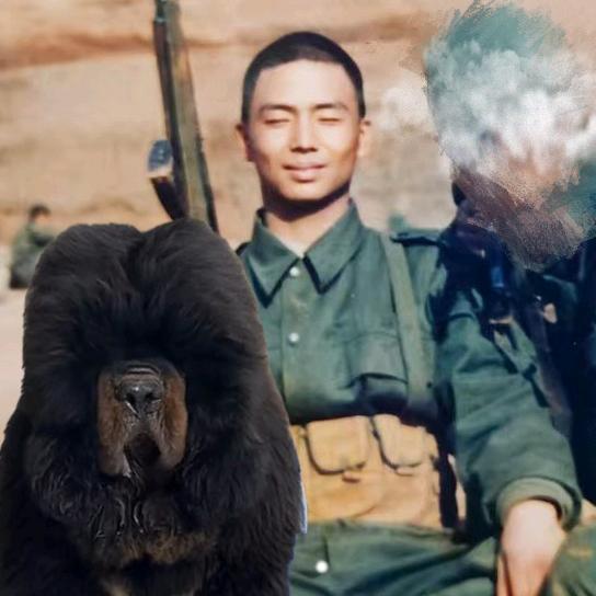 九门铁丐和狗🐕🐕🐕🐕🐕🐕🐕