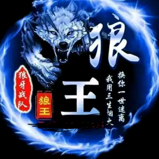 孤独的冷月狼王