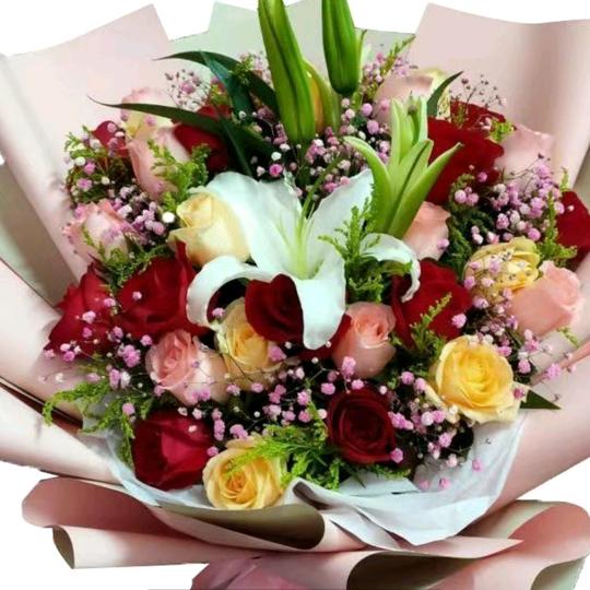 🌷路过人间🌷