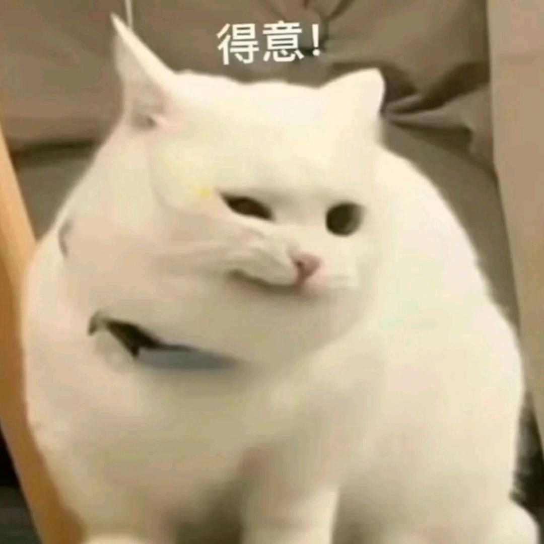 老公你说句话呀