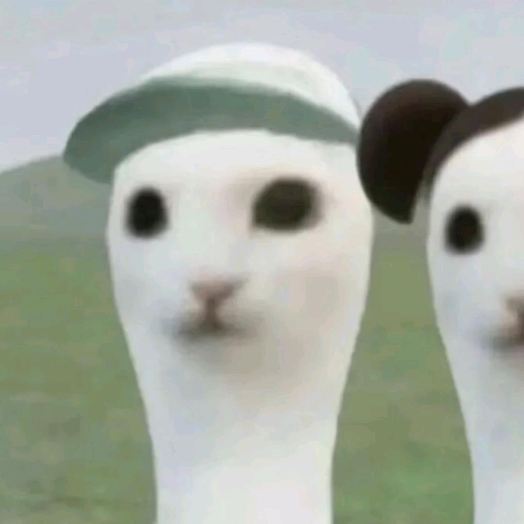 若梦