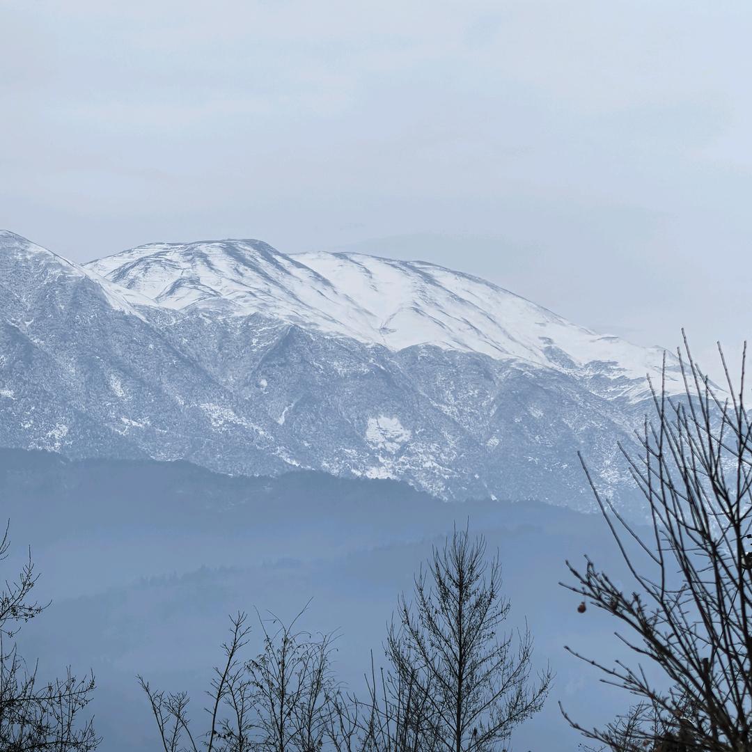 独宠一人(小号)不定时直播