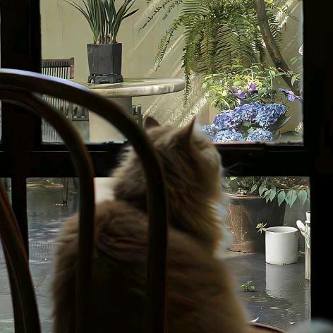 怒吃两碗大米饭