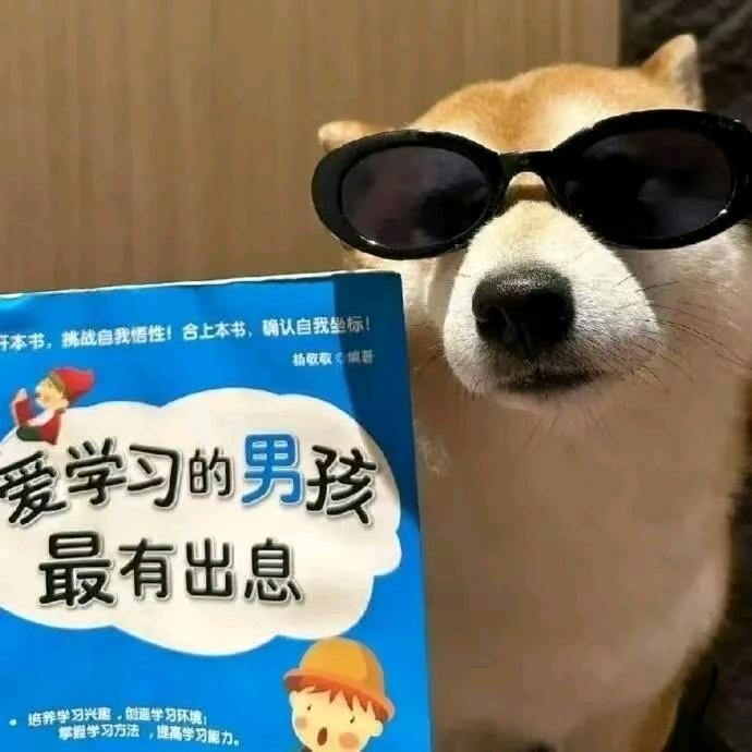 金智