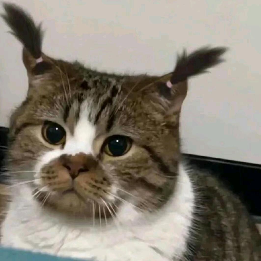 别艾特我