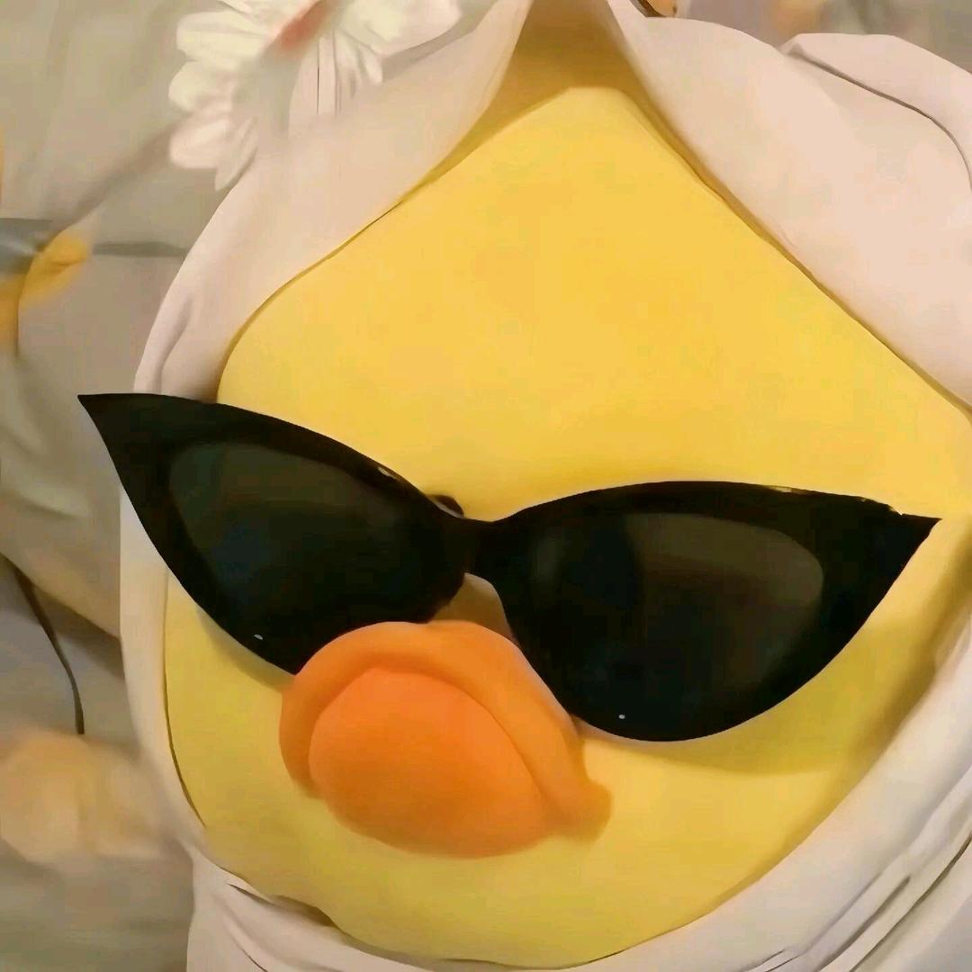 🎗布丁是只喵🐈 ⁶¹