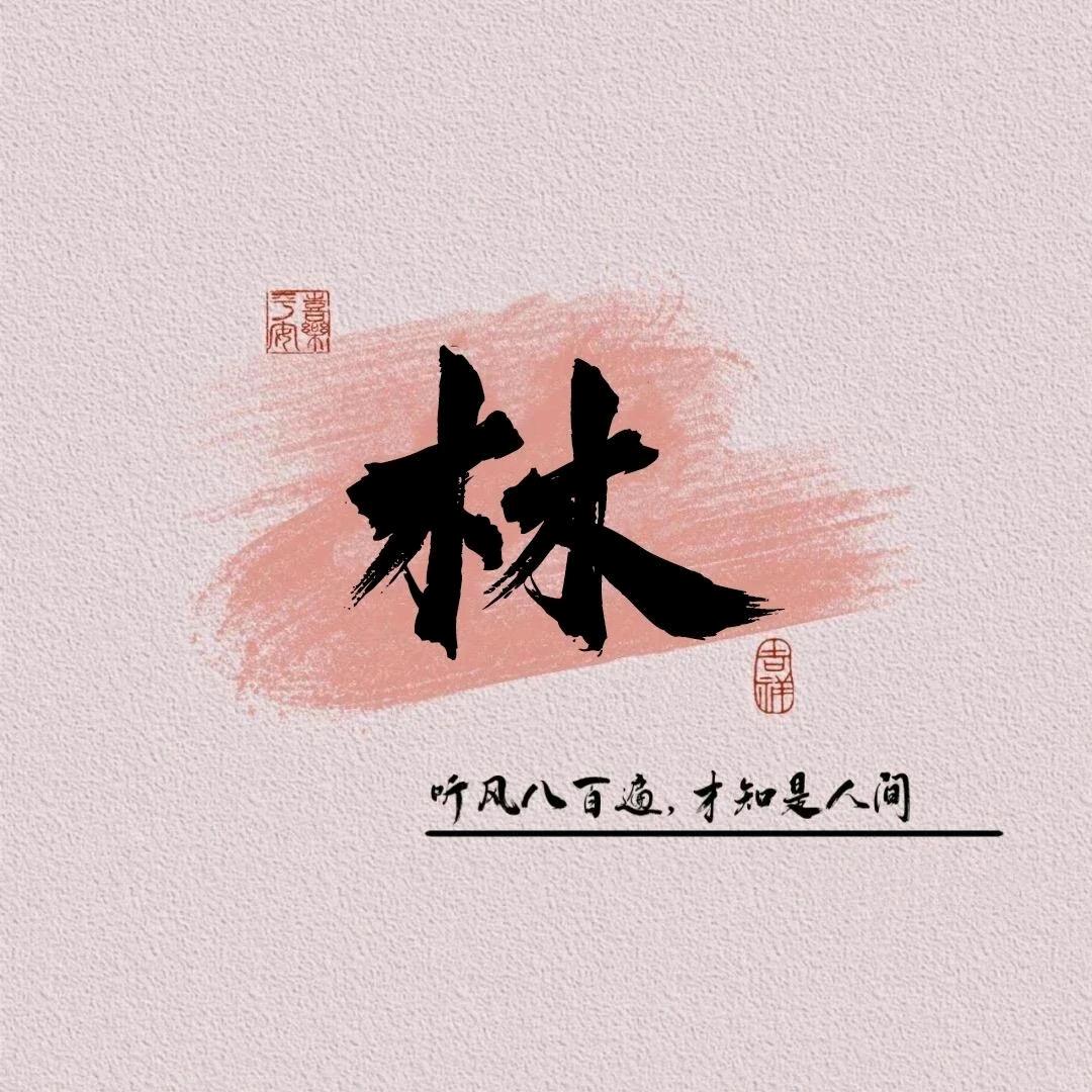 林林情感4号工作室