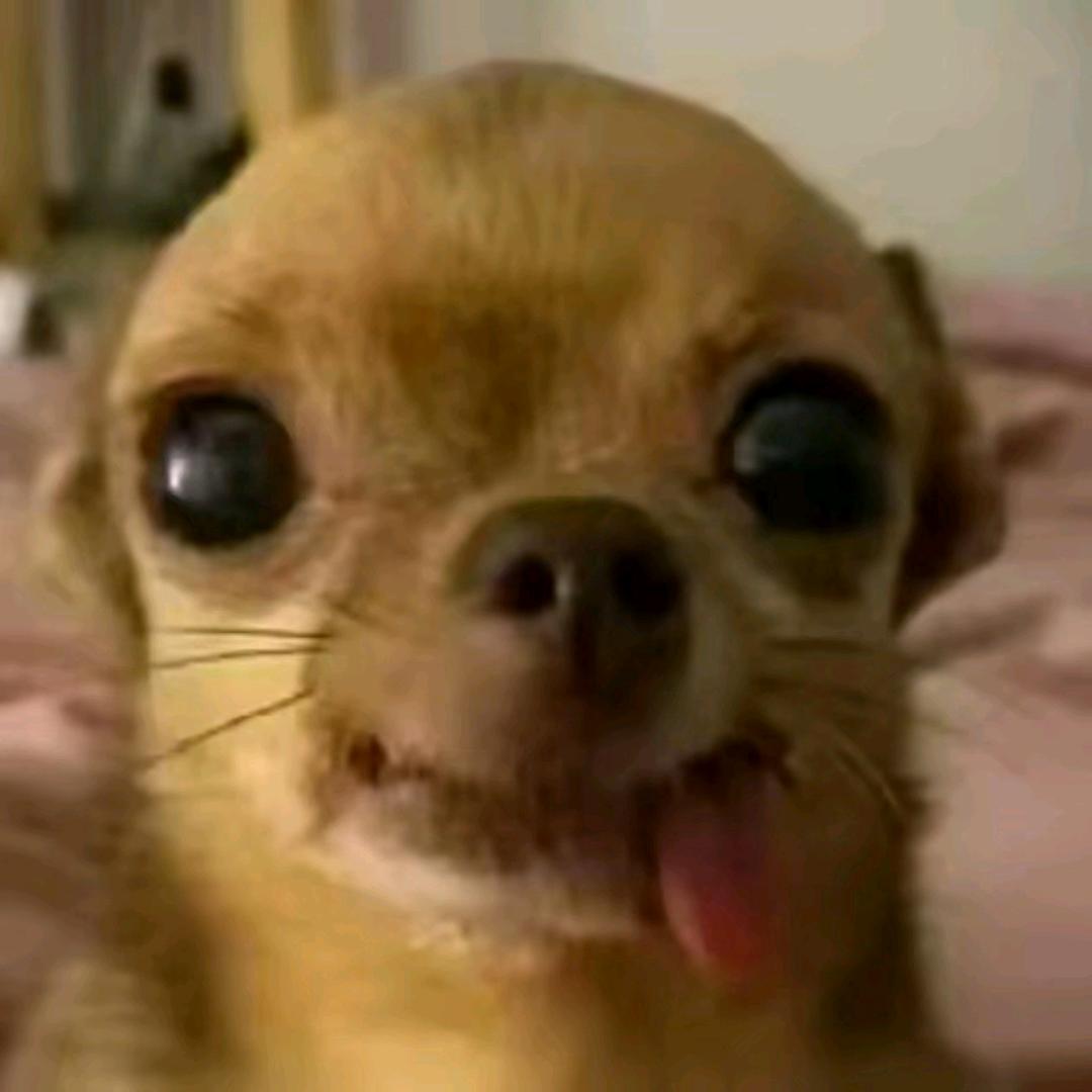 小困