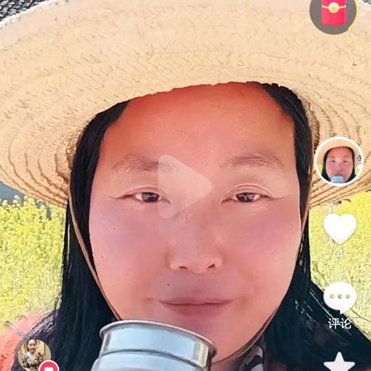 仙凤