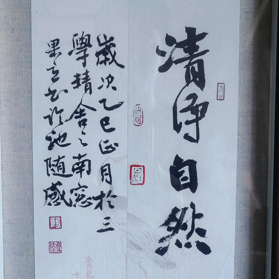 清净自然Koi