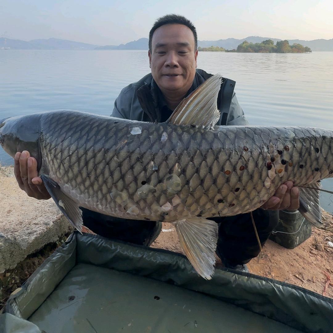 明海欧式鲤钓（CarpKK钓手）