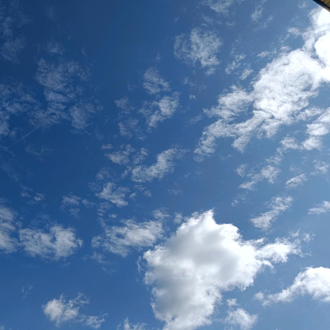 人生第一次