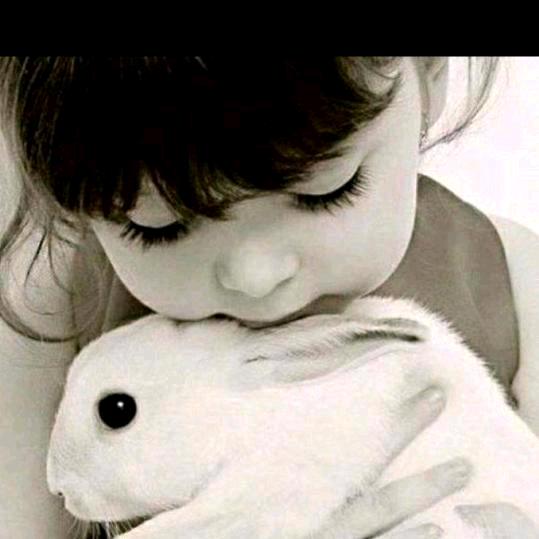 🍎🍒🌺凤凤🍁🍂🍎🍒