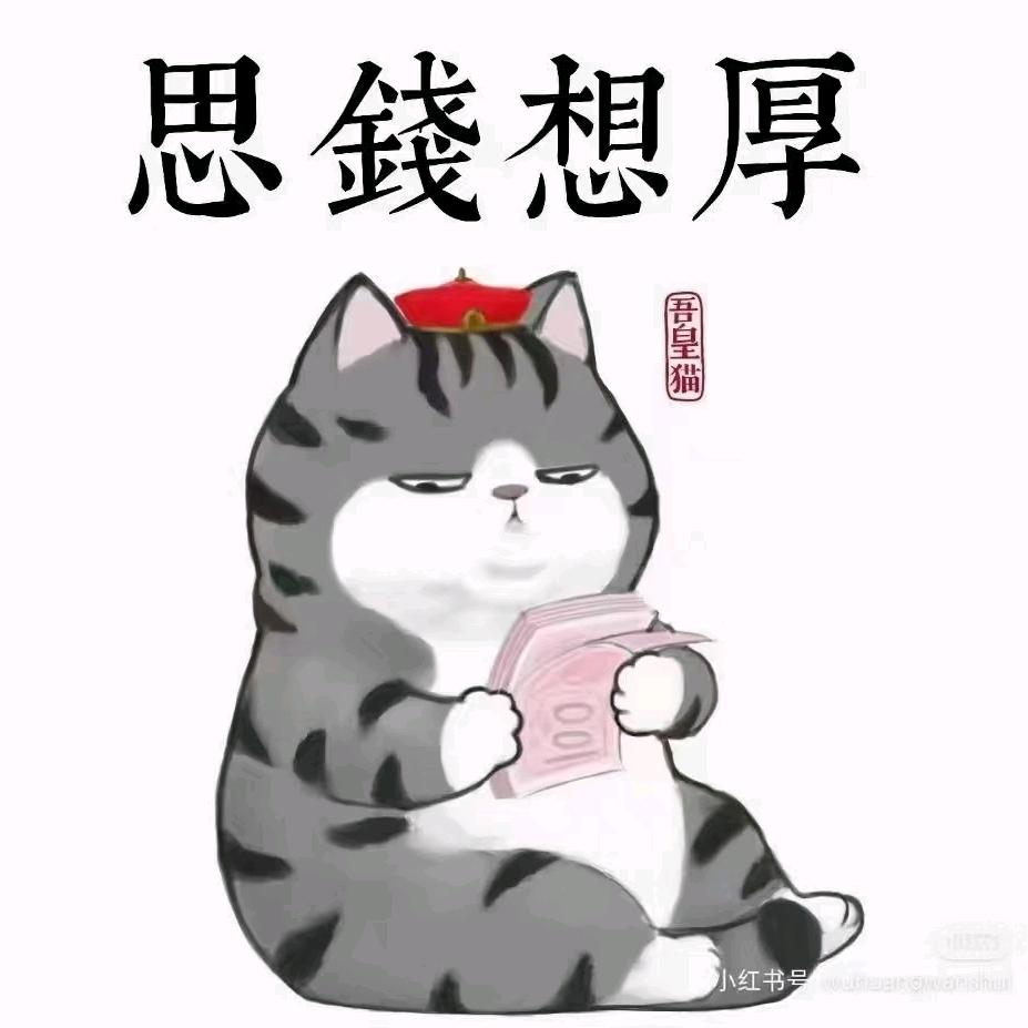 我的未来我做主