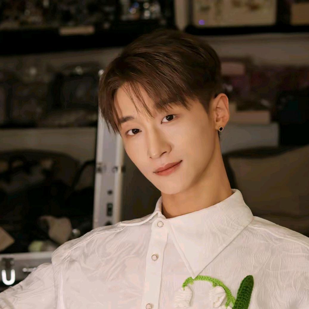 ✨含羞草✨ᵏ⁹¹⁹