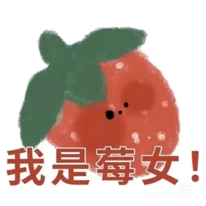 MARY（打工版）